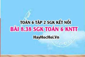 Bài 8.38 SGK Toán 6 tập 2 Kết nối tri thức